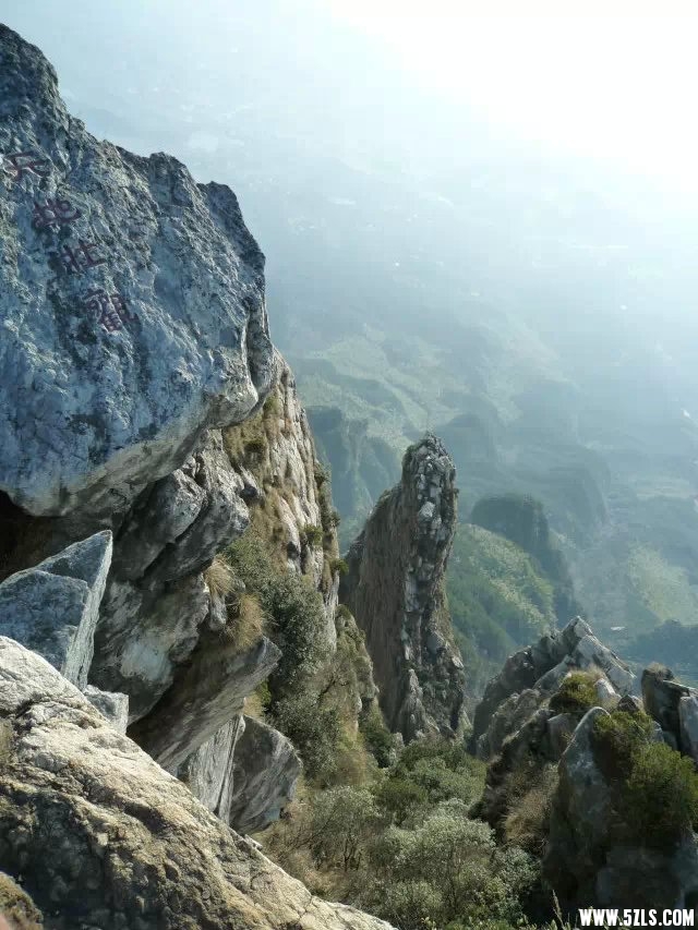 81.jpg