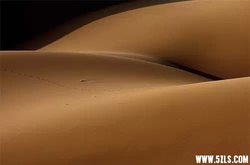 61.webp.jpg