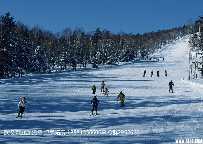 201006.jpg