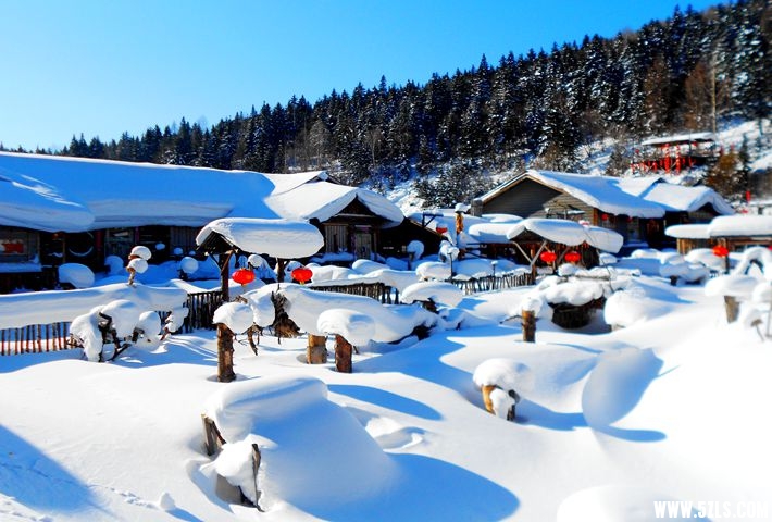 DSCN7318.JPG