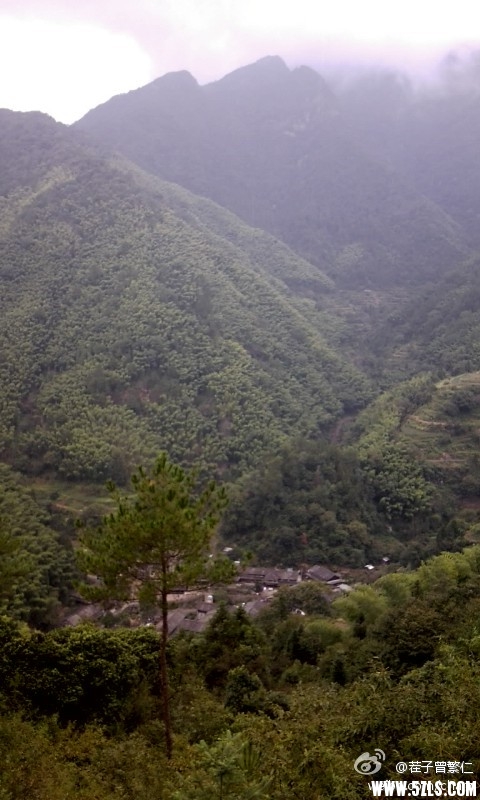 2011101911265412915.jpg