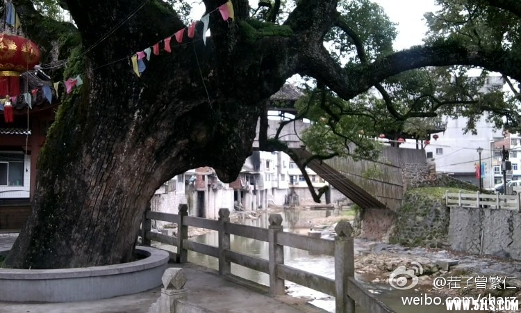 2011101915262657317.jpg