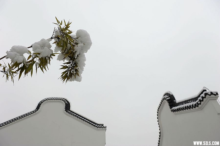 _DSC0099_副本_副本.jpg
