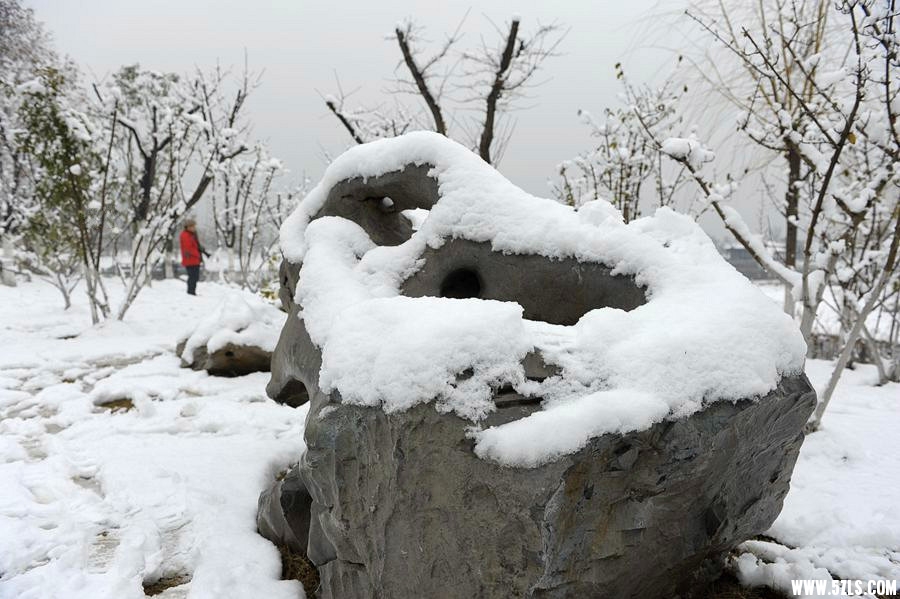 _DSC0116 (61)_副本_副本.jpg