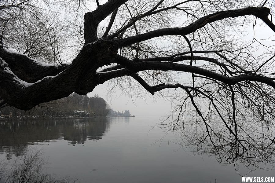 _DSC0487__.jpg