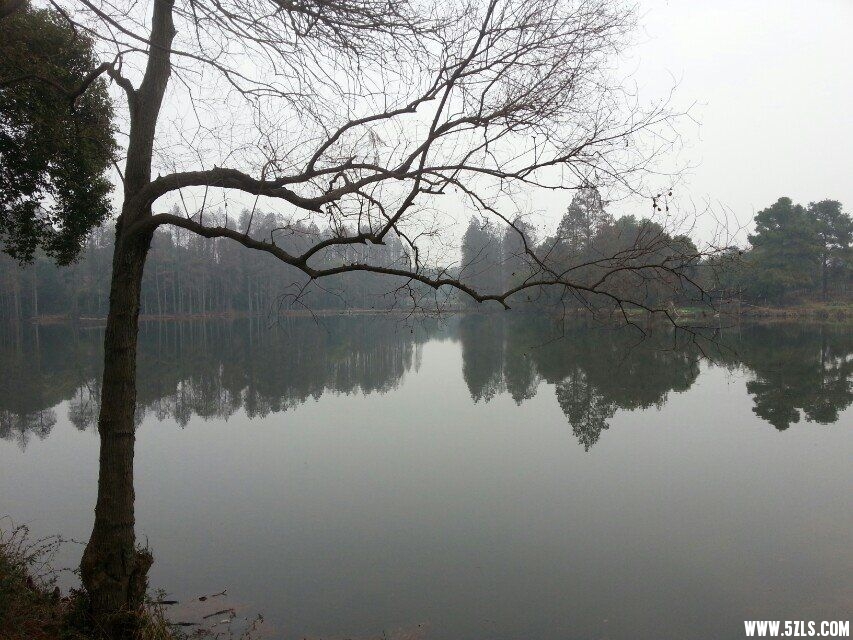 QQͼƬ20150205184623.jpg