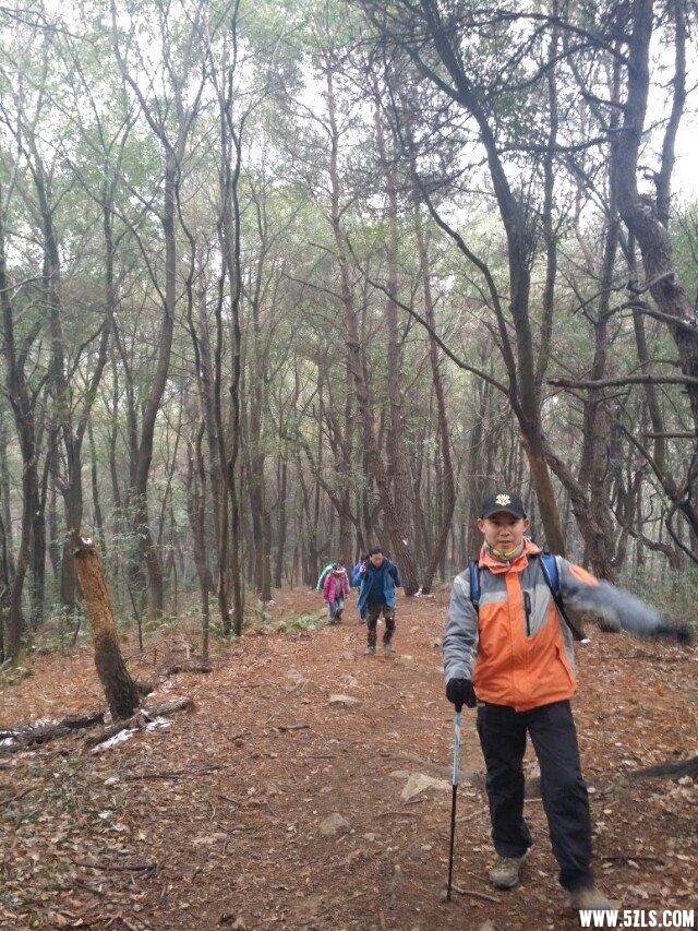 QQͼƬ20150205184838.jpg