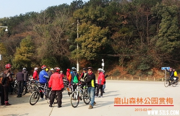 20150206_103300_.jpg