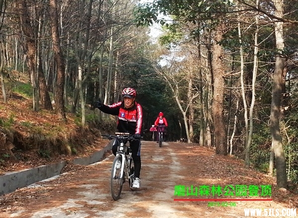 20150206_110450_.jpg