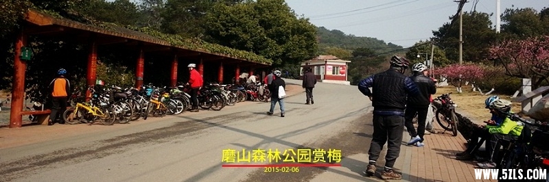 20150206_113356_.jpg