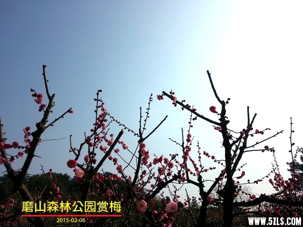 20150206_114252_.jpg