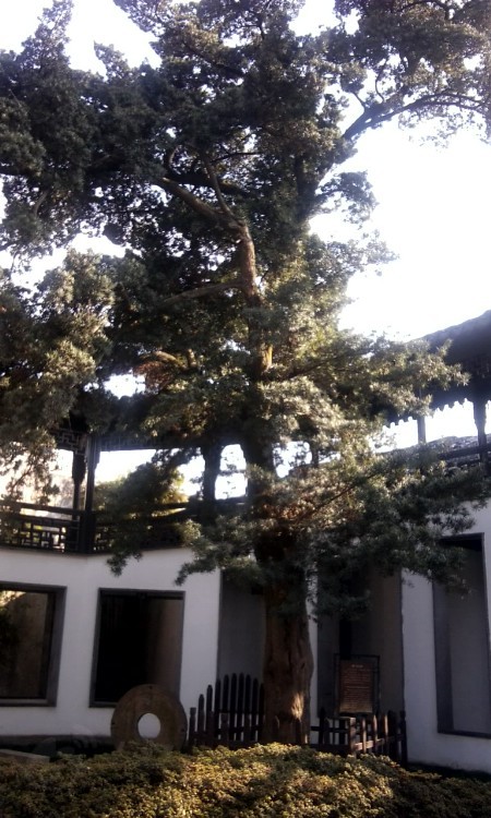 20123412262726205.jpg