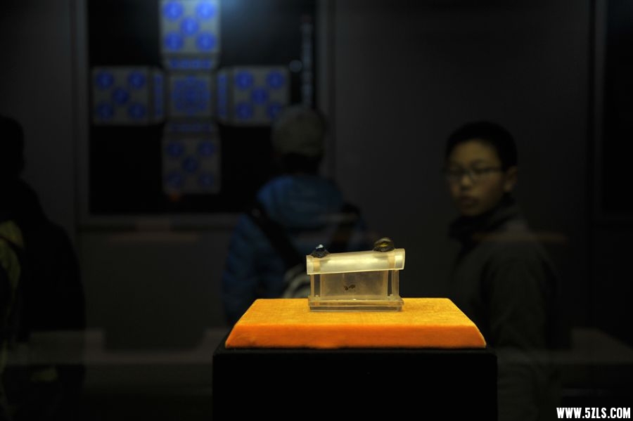 _DSC2415_.jpg