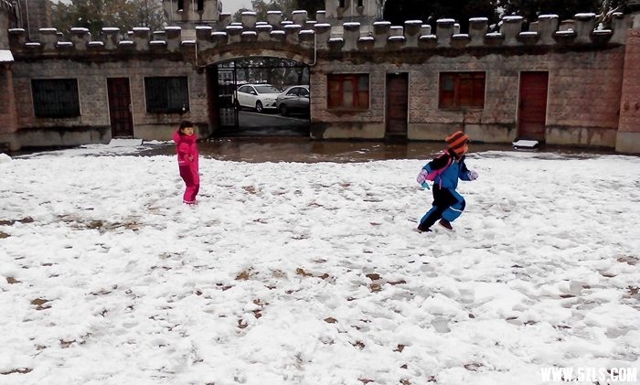 IMG_20150201_121330.jpg