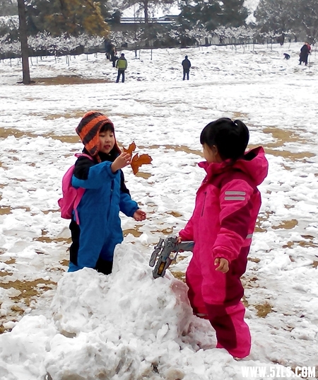IMG_20150201_124110.jpg