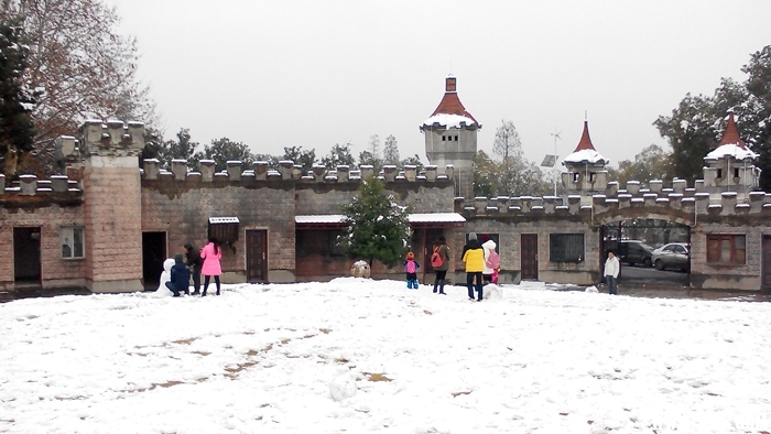 IMG_20150201_120139.jpg