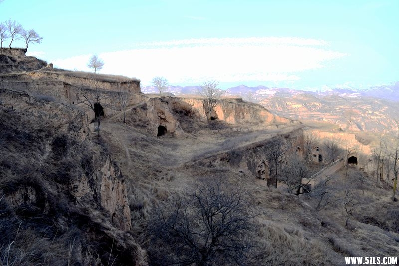 DSC_0981.JPG