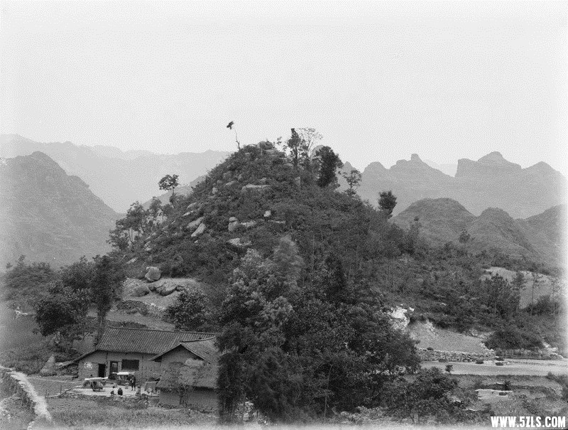 006.jpg