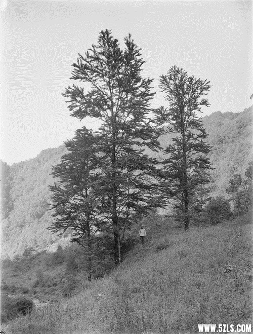 030.jpg
