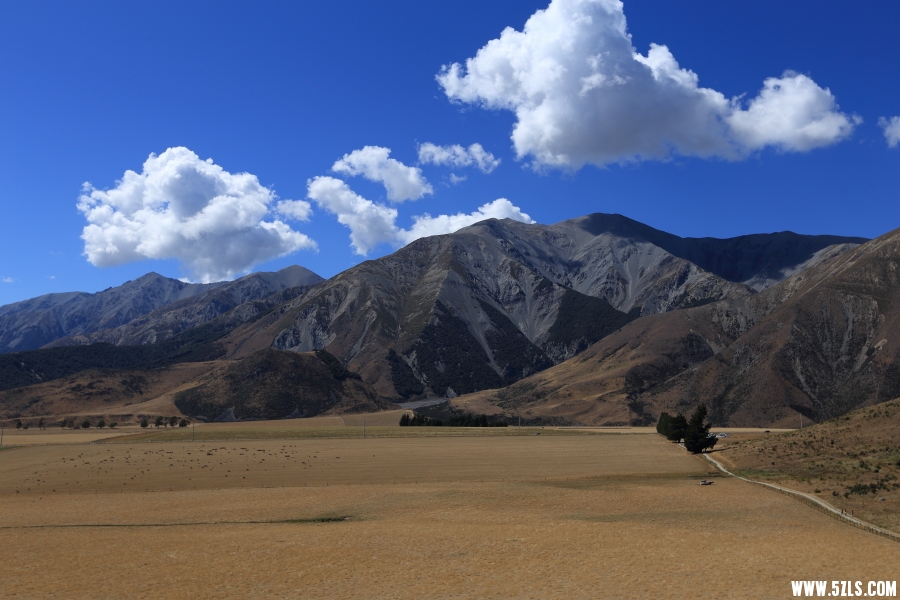 _MG_0134.JPG