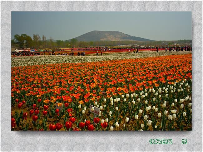 QQͼƬ20150320175200.jpg