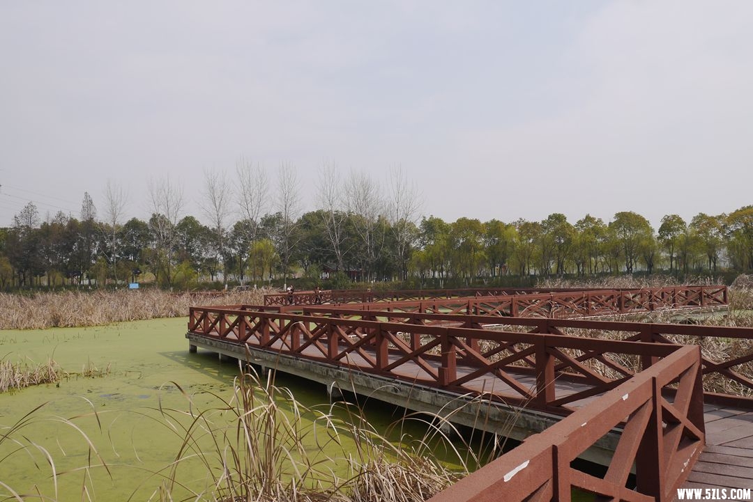 P1120389_副本.jpg