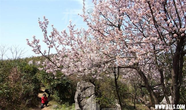 QQͼƬ20150320220055.jpg