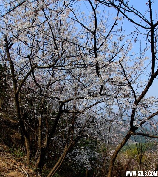 QQͼƬ20150320215648.jpg