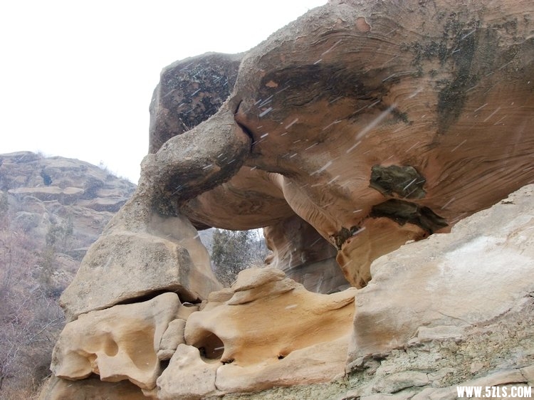 DSCF4082.JPG