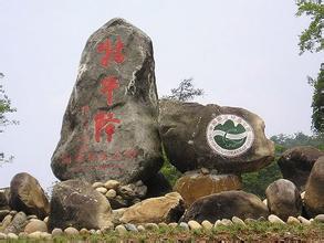 u=881946632,3587189795&amp;fm=21&amp;gp=0.jpg