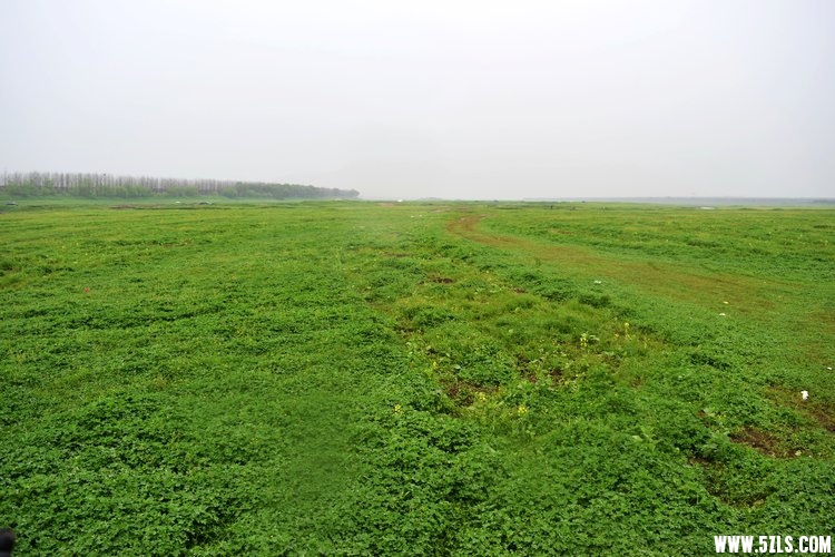 DSC_2964.JPG