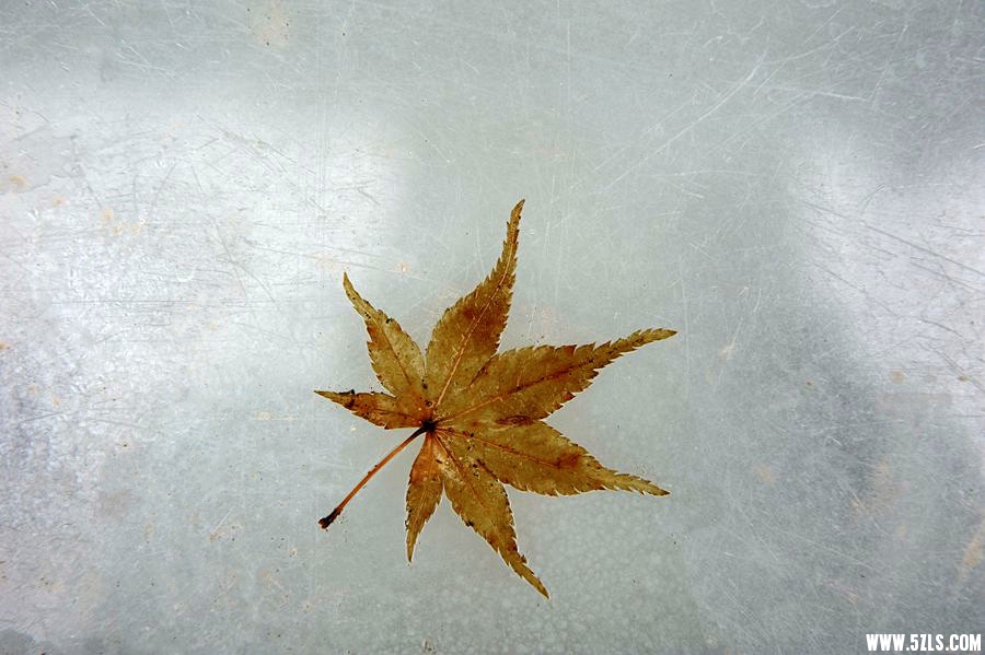 _DSC3197__.jpg