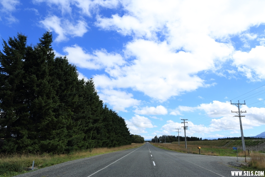 C08A8888.JPG