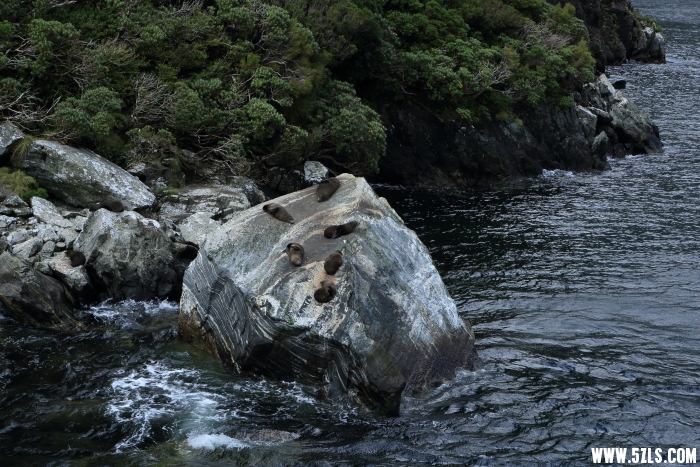 C08A8964.JPG