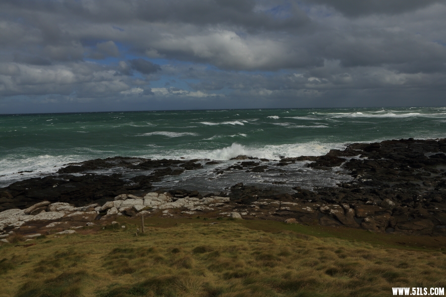 C08A9297.JPG