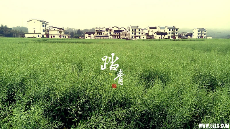 MA201504061003070029-04-0010fd000.jpg