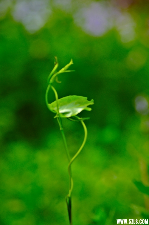 DSC_00131001.jpg