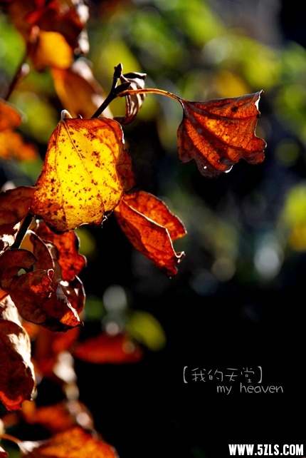 2008103117534.jpg