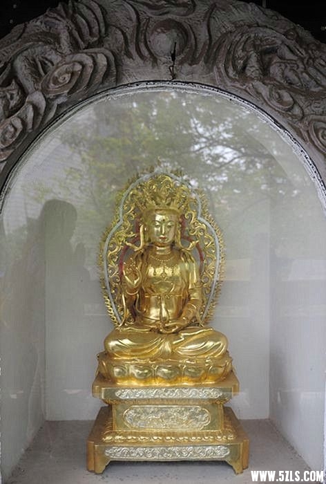 DSC_4598_副本_副本_副本.jpg