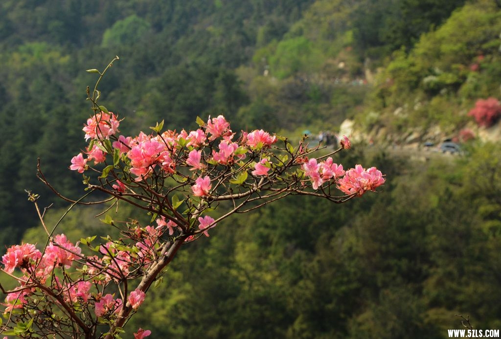 云雾山2.jpg