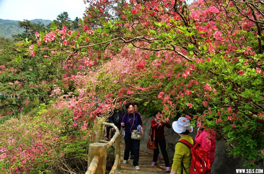 云雾山3.jpg