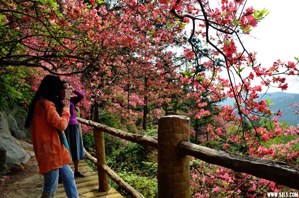 云雾山4.jpg