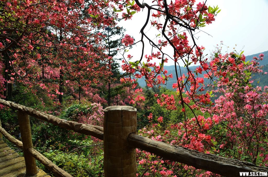云雾山5.jpg