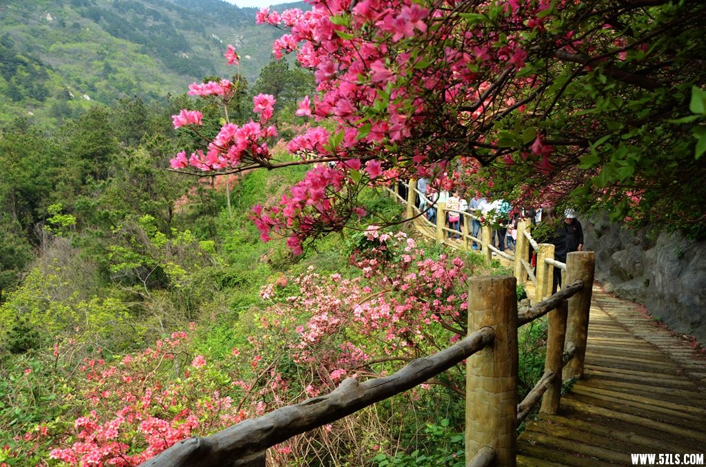 云雾山6.jpg