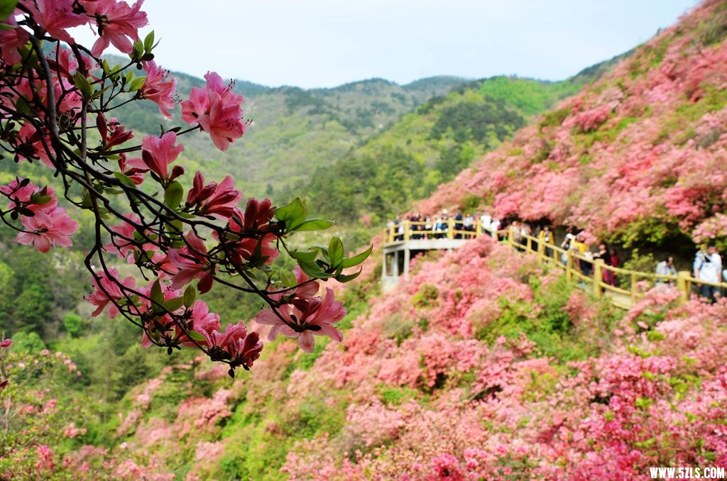 云雾山9.jpg