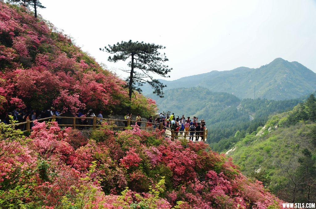 云雾山10.jpg
