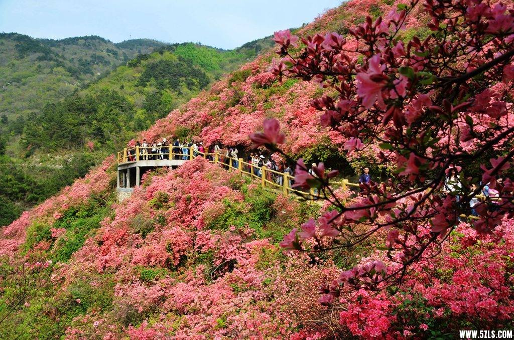 云雾山11.jpg