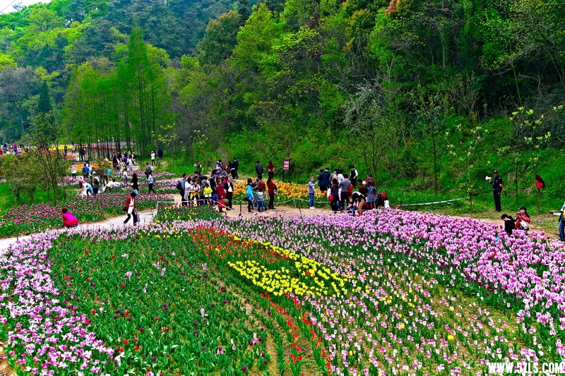 _MG_92851001_调整大小.jpg