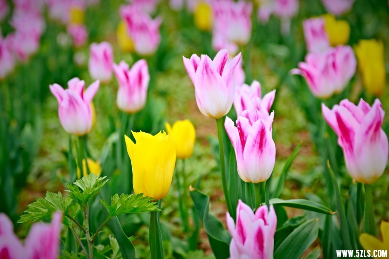 _MG_92891001_调整大小.jpg