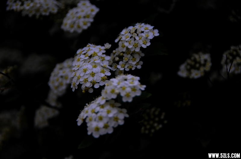 DSC_1128.jpg